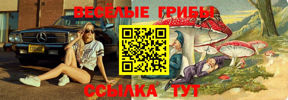 Галлюциногенные грибы Psilocybine cubensis  Галлюциногенные грибы Psilocybine cubensis  Вход с VPN  Лосино-Петровский 