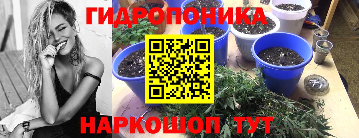 Лосино-Петровский  Каннабис LSD WEED  Вход с VPN  Шишки марихуана LSD WEED  Канабис планчик 